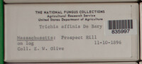 Image Associated With the Occurence